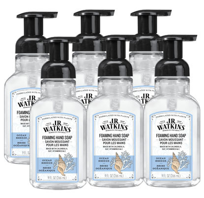 Picture of J.R. Watkins Foaming Hand Soap For Bathroom or Kitchen, Scented, USA Made And Cruelty Free, 9 Fl Oz, Ocean Breeze, 6 Pack