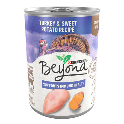 Picture of Purina Beyond Turkey and Sweet Potato Grain Free Wet Dog Food Ground Entree - (12) 13 oz. Cans