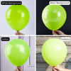 Picture of PartyWoo Lime Green Balloons, 100 pcs Green Balloons Different Sizes Pack of 36 Inch 18 Inch 12 Inch 10 Inch 5 Inch for Balloon Garland as Birthday Decorations, Wedding Decorations, Party Decorations