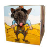 Picture of Paladone Animal Adventures Pet Photo Booth Frame