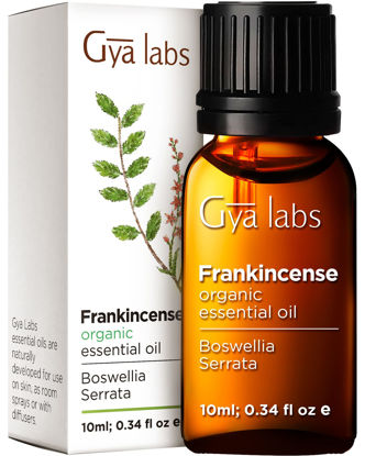 Picture of Gya Labs Organic Frankincense Oils for Pain (0.34 fl oz)