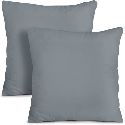 Picture of Utopia Bedding Throw Pillows Insert (Pack of 2, Grey) - 16 x 16 Inches Bed and Couch Pillows - Indoor Decorative Pillows