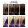 Picture of Adore Semi Permanent Hair Color - Vegan and Cruelty-Free Hair Dye - 4 Fl Oz - 116 Purple Rage (Pack of 2)