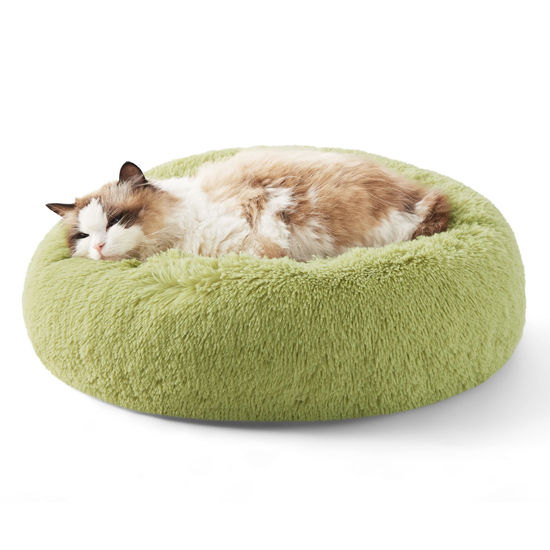 Calming bed best sale for cats