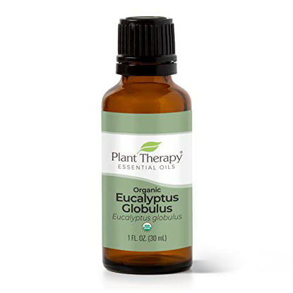 Picture of Plant Therapy Organic Eucalyptus Globulus Essential Oil 100% Pure, USDA Certified Organic, Undiluted, Natural Aromatherapy, Therapeutic Grade 30 mL (1 oz)