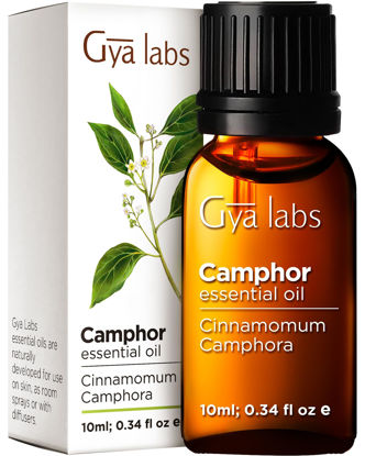Picture of Gya Labs Camphor Essential Oil (0.34 Fl Oz (Pack of 1)) - Fresh, Sharp & Slightly Woody Scent