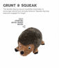 Picture of Outward Hound Kyjen Hedgehogz Squeak Toy for Dogs, Brown, XL