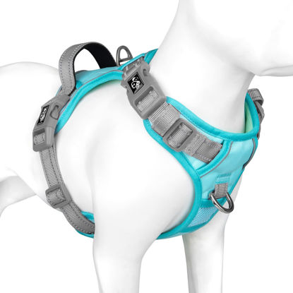 Picture of PHOEPET No Pull Dog Harness, Unique Colors Reflective Adjustable Dog Vest, with Soft Training Handle Metal Clips for Small Medium Large Dogs (Mint Green Base & Grey Straps,L)