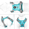 Picture of PHOEPET No Pull Dog Harness, Unique Colors Reflective Adjustable Dog Vest, with Soft Training Handle Metal Clips for Small Medium Large Dogs (Mint Green Base & Grey Straps,L)