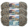 Picture of Lion Brand Yarn Hometown Yarn, Bulky Yarn, Yarn for Knitting and Crocheting, 3-Pack, Huntington Foliage