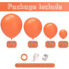 Picture of JOYYPOP Orange Balloons 110 Pcs Orange Balloon Garland Kit Different Sizes 5 10 12 18 Inch Orange Balloons for Halloween Thanksgiving Party Decorations