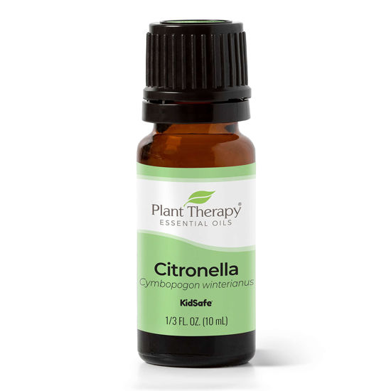 Picture of Plant Therapy Citronella Essential Oil 10 mL (1/3 oz) 100% Pure, Undiluted, Therapeutic Grade