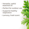 Picture of Plant Therapy Citronella Essential Oil 10 mL (1/3 oz) 100% Pure, Undiluted, Therapeutic Grade