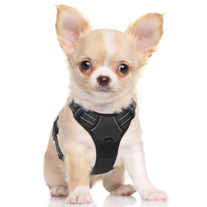 Picture of rabbitgoo Dog Harness, No-Pull Pet Harness with 2 Leash Clips, Adjustable Soft Padded Dog Vest, Reflective No-Choke Pet Oxford Vest with Easy Control Handle for Small Dogs, Black, S