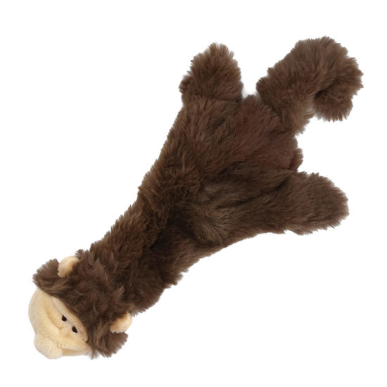 Dog toys shop and supplies