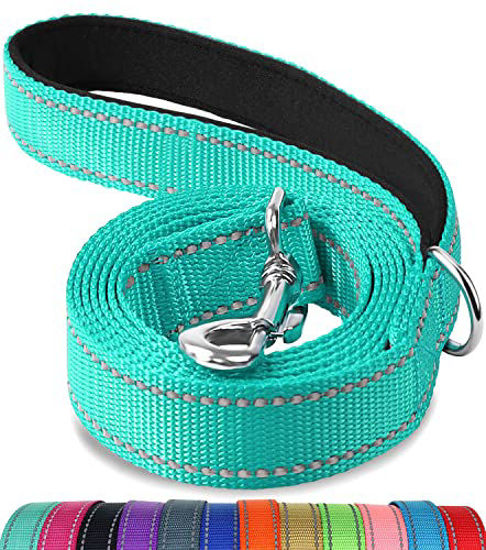 Picture of Joytale Double-Sided Reflective Dog Leash, 6 FT/5 FT/4 FT, Padded Handle Nylon Dogs Leashes for Medium & Large Dogs Walking, Teal, 6FT