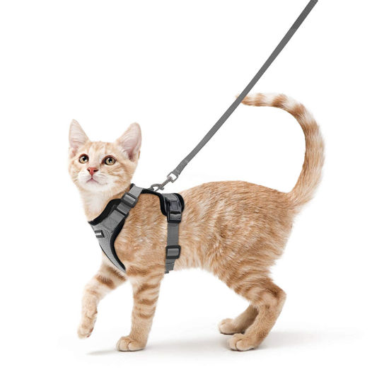 Picture of rabbitgoo Cat Harness and Leash for Walking, Escape Proof Soft Adjustable Vest Harnesses for Cats, Easy Control Breathable Reflective Strips Jacket, Grey, S(Chest: 18" - 20")