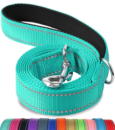 Picture of Joytale Double-Sided Reflective Dog Leash, 6 FT/5 FT/4 FT, Padded Handle Nylon Dogs Leashes for Medium & Large Dogs Walking, Teal, 4FT