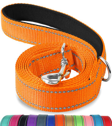 Picture of Joytale Double-Sided Reflective Dog Leash, 6 FT/5 FT/4 FT, Padded Handle Nylon Dogs Leashes for Medium & Large Dogs Walking, Orange, 5FT