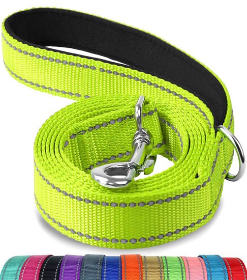 Picture of Joytale Double-Sided Reflective Dog Leash, 6 FT/5 FT/4 FT, Padded Handle Nylon Dogs Leashes for Small & Medium Dogs Walking, Green, 5FT