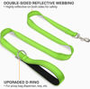 Picture of Joytale Double-Sided Reflective Dog Leash, 6 FT/5 FT/4 FT, Padded Handle Nylon Dogs Leashes for Small & Medium Dogs Walking, Green, 5FT