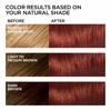 Picture of L'Oreal Paris Feria Multi-Faceted Shimmering Permanent Hair Color, R68 Ruby Rush (Rich Auburn True Red), Pack of 1, Hair Dye