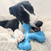 Picture of Nylabone Dog Toy Power Chew Dog Toy for Aggressive Chewers - X-Shape Dog Toy - Large - Up to 50 lbs.