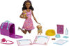 Picture of Barbie Pup Adoption Doll & Accessories Set with Color-Change, 2 Pets, Carrier & 10 Accessories, Brunette Doll in Pink Dress