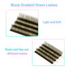 Picture of VAVALASH Ombre Colored Lash Extension 0.07 Thickness DD Curl Black Gradient Green Individual Premium Eyelash Extensions Volume Lash Extension (Black Gradient Green 0.07 DD, 8-15mm)