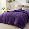 Picture of Bedsure Twin Reversible Comforter Duvet Insert - All Season Quilted Comforters Twin Size, Down Alternative Twin Size Bedding Comforter with Corner Tabs - Plum/Light Purple