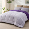 Picture of Bedsure Twin Reversible Comforter Duvet Insert - All Season Quilted Comforters Twin Size, Down Alternative Twin Size Bedding Comforter with Corner Tabs - Plum/Light Purple