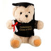 Picture of Graduation Gift 2021 Graduation Bear 10 inch Graduation Plush Stuffed Animal Bear (#3 Congrats 2021)