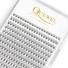 Picture of QUEWEL Lash Clusters 240Pcs Cluster Lashes 10D 0.10C Curl 12mm Individual Lashes Soft&Comfortable DIY Eyelash Extension at Home(10D 0.10C 12)