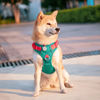 Picture of PHOEPET No Pull Dog Harness, Unique Colors Reflective Adjustable Dog Vest, with Soft Training Handle Metal Clips for Small Medium Large Dogs (Dark Green Base & Red Straps,S)