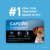 Picture of CAPSTAR (nitenpyram) Oral Flea Treatment for Dogs, Fast Acting Tablets Start Killing Fleas in 30 Minutes, Small Dogs (2-25 lbs), 6 Doses