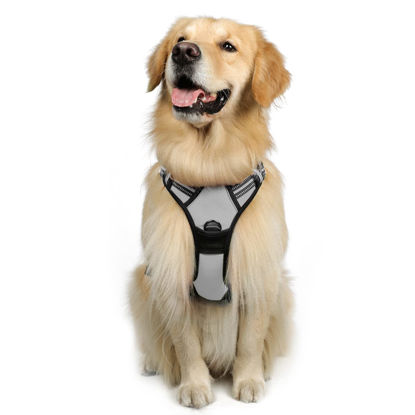 Picture of rabbitgoo Dog Harness, No-Pull Pet Harness with 2 Leash Clips, Adjustable Soft Padded Dog Vest, Reflective No-Choke Pet Oxford Vest with Easy Control Handle for Large Dogs, Grey, L