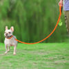 Picture of Joytale Double-Sided Reflective Dog Leash, 6 FT/5 FT/4 FT, Padded Handle Nylon Dogs Leashes for Small & Medium Dogs Walking, Orange, 6FT