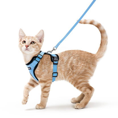 Picture of rabbitgoo Cat Harness and Leash for Walking, Escape Proof Soft Adjustable Vest Harnesses for Cats, Easy Control Breathable Reflective Strips Jacket, Light Blue, XS (Chest: Chest: 13.5"-16")