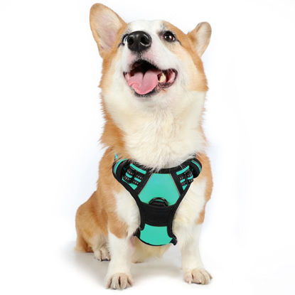 Picture of rabbitgoo Dog Harness, No-Pull Pet Harness with 2 Leash Clips, Adjustable Soft Padded Dog Vest, Reflective No-Choke Pet Oxford Vest with Easy Control Handle for Medium Dogs, Turquoise, M