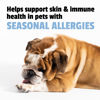 Picture of Pet Naturals Allergy Plus Calming Supplement for Dogs, Soft Chew - Support for Seasonal Allergies, Paw Licking, Itchy Skin, Everyday Stress, Skin Health & Immune Health