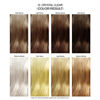 Picture of Adore Semi Permanent Hair Color - Vegan and Cruelty-Free Hair Dye - 4 Fl Oz - 010 Crystal Clear (Pack of 1)