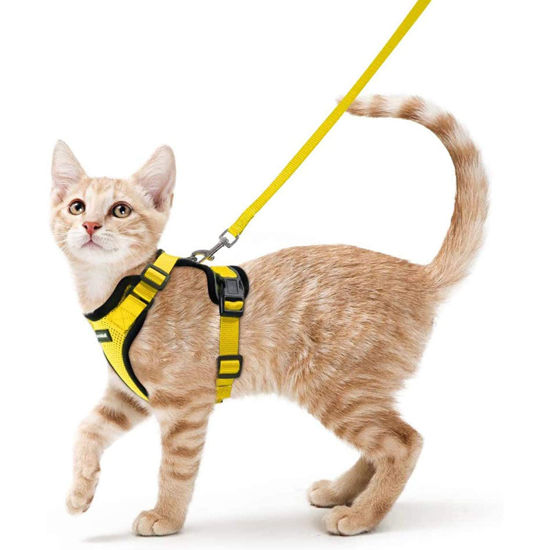 Picture of rabbitgoo Cat Harness and Leash for Walking, Escape Proof Soft Adjustable Vest Harnesses for Cats, Easy Control Breathable Reflective Strips Jacket, Yellow, XS(Chest: 13.5"-16")