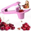 Picture of Ordekcity Cherry Pitter Tool Cherries Corer Pitter Tool Stainless Steel Fruit Pit Remover for Cherry Jam with Lock Design-Pink