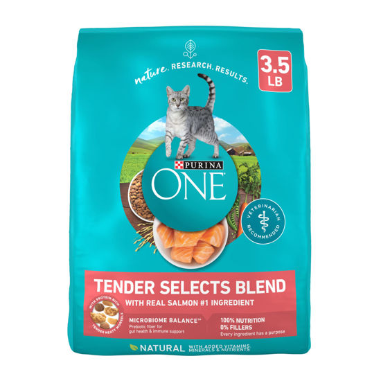 Picture of Purina ONE Natural Dry Cat Food, Tender Selects Blend With Real Salmon - 3.5 lb. Bag