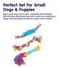 Picture of Petstages Orka Mini Dental Dog Chew Toys - 3 Pack