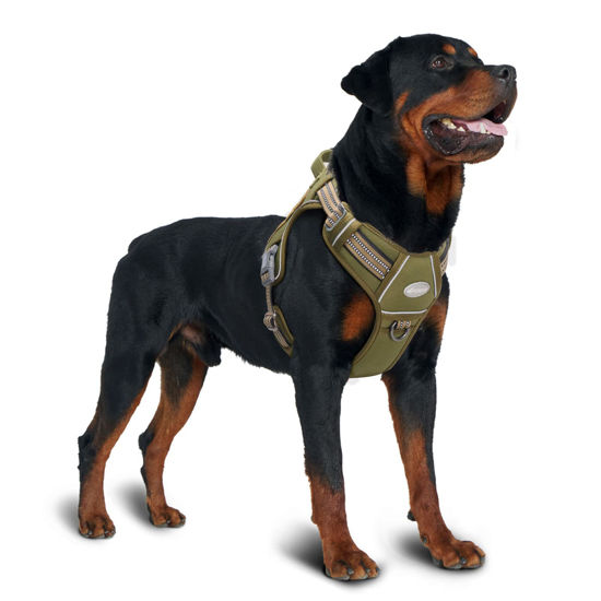 Tactical service discount dog vest small