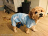 Picture of Idepet depet Cotton Adidog Dog Hoody Clothes, XS, Blue