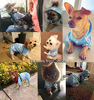 Picture of Idepet depet Cotton Adidog Dog Hoody Clothes, XS, Blue