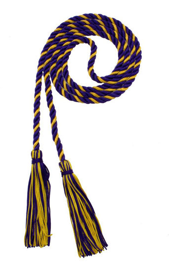 Picture of Graduation Honor Cord - Purple/Gold - Every School Color Available - Made in USA - by Tassel Depot