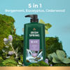 Picture of Irish Spring 5-in-1 Body Wash, 30 Oz Pump